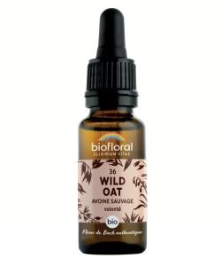 Wild Oat (36)